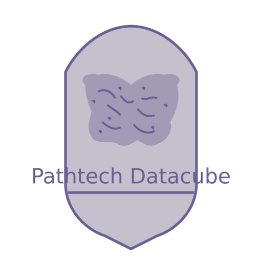 Логотип Pathtech Datacube